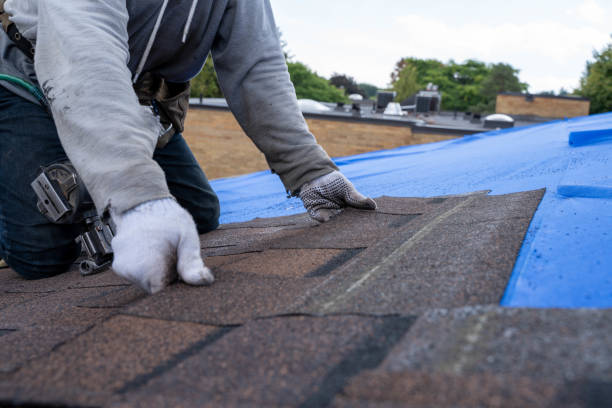 Best Gutter Installation and Roofing  in Eden, TX